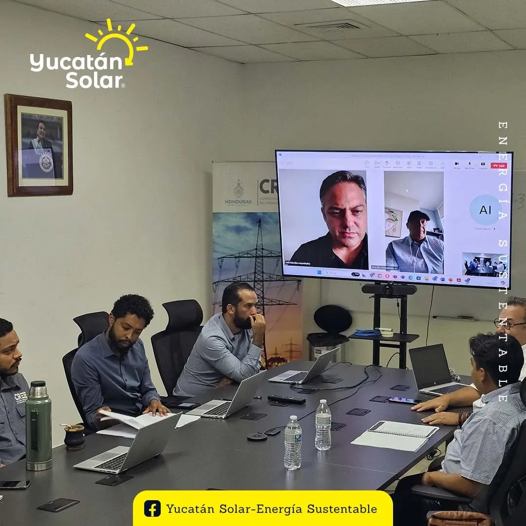 Especialistas internacionales se suman por videollamada a la reunión en la CREE